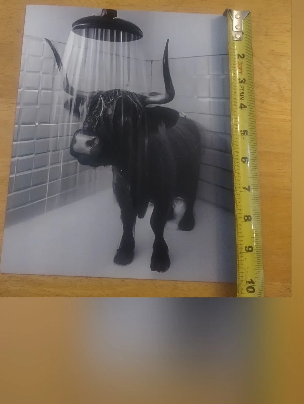 Highland Cow Shower Wall Art Print Black White Farmhouse Bathroom Decor 8x10